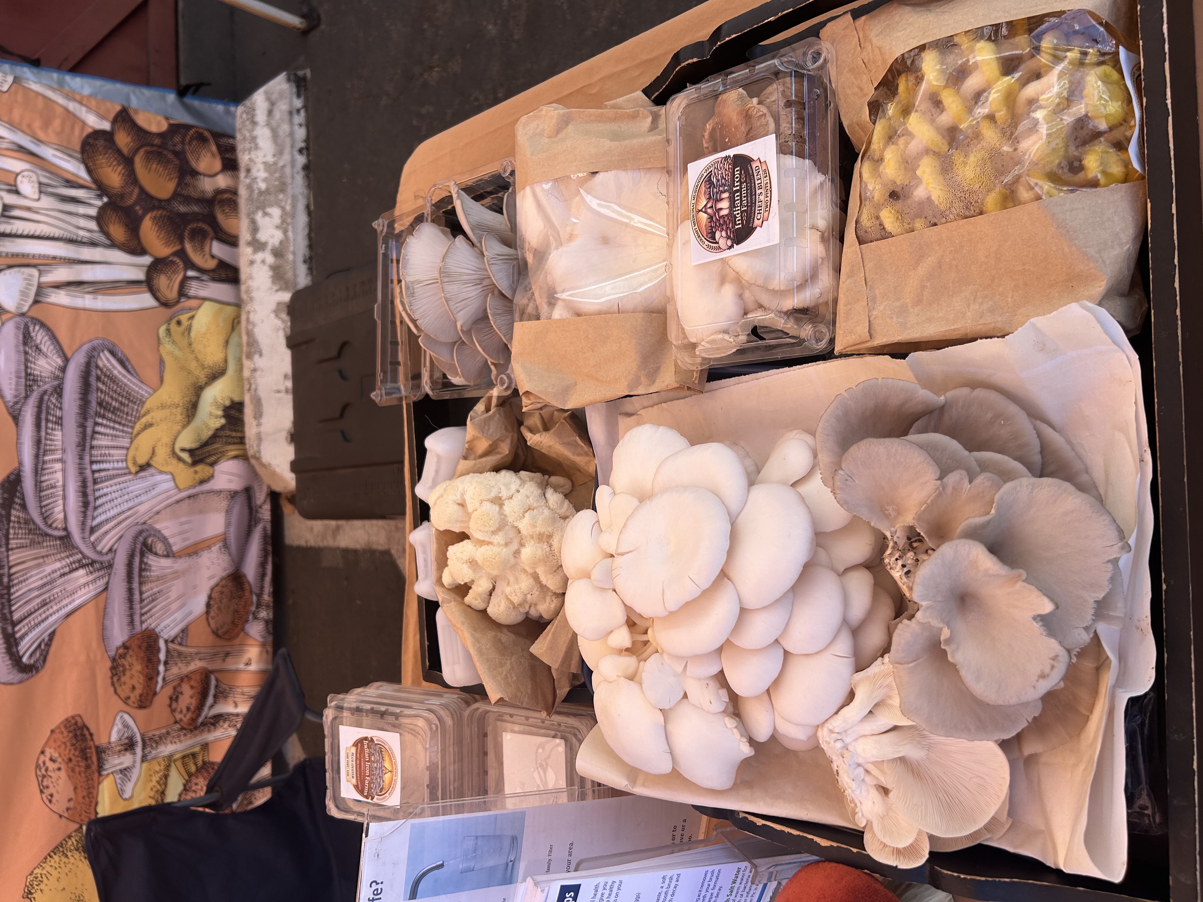 Lakeside Farmers Market photo