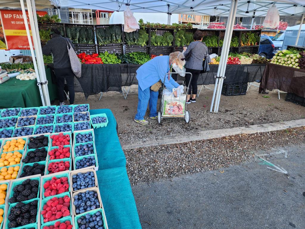 Lakeside Farmers Market photo