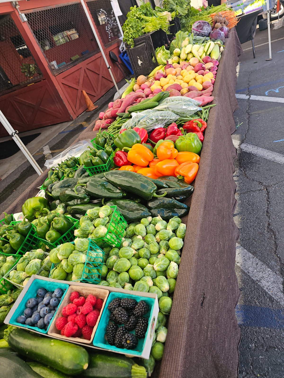 Lakeside Farmers Market photo