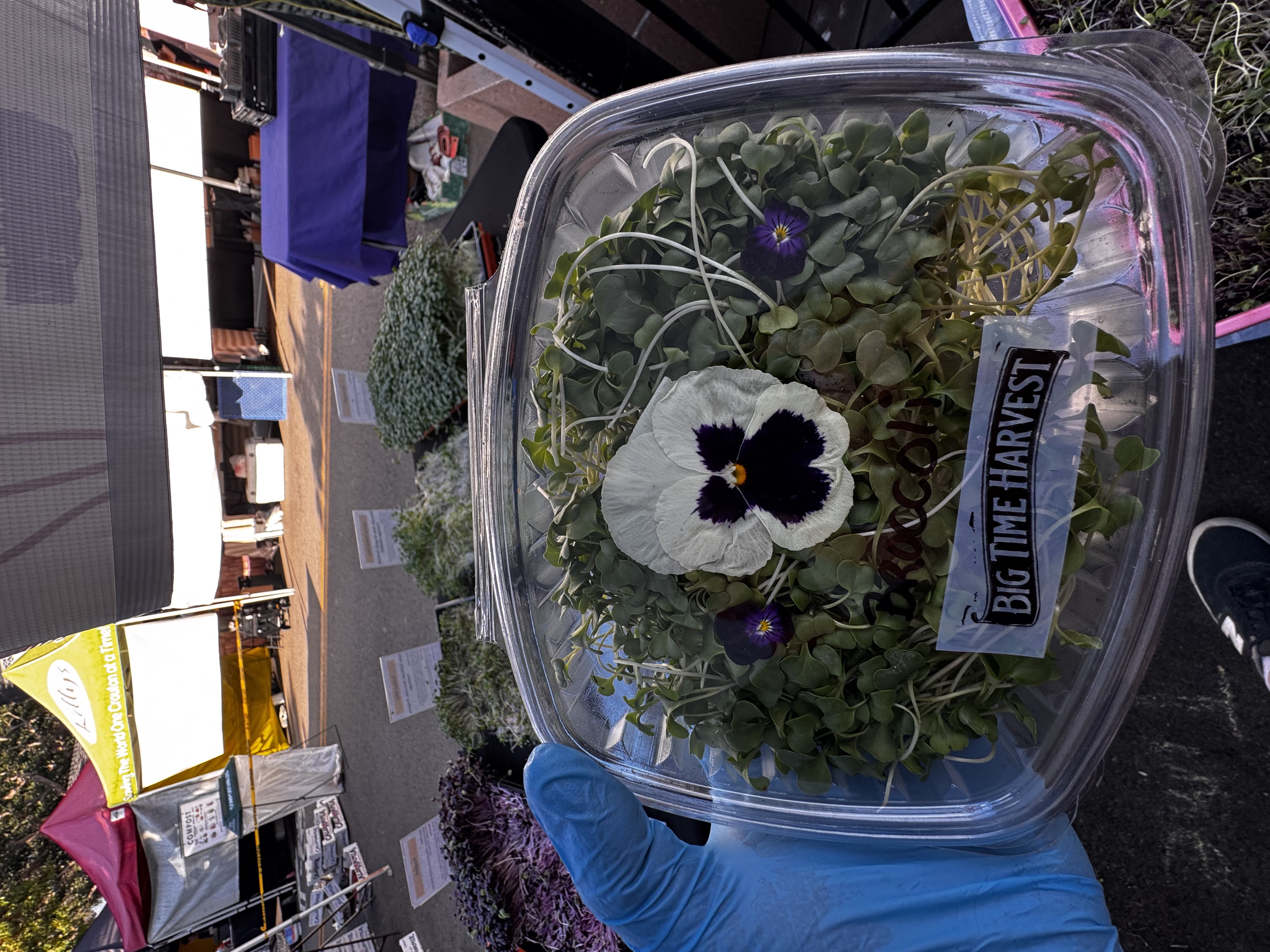Lakeside Farmers Market photo