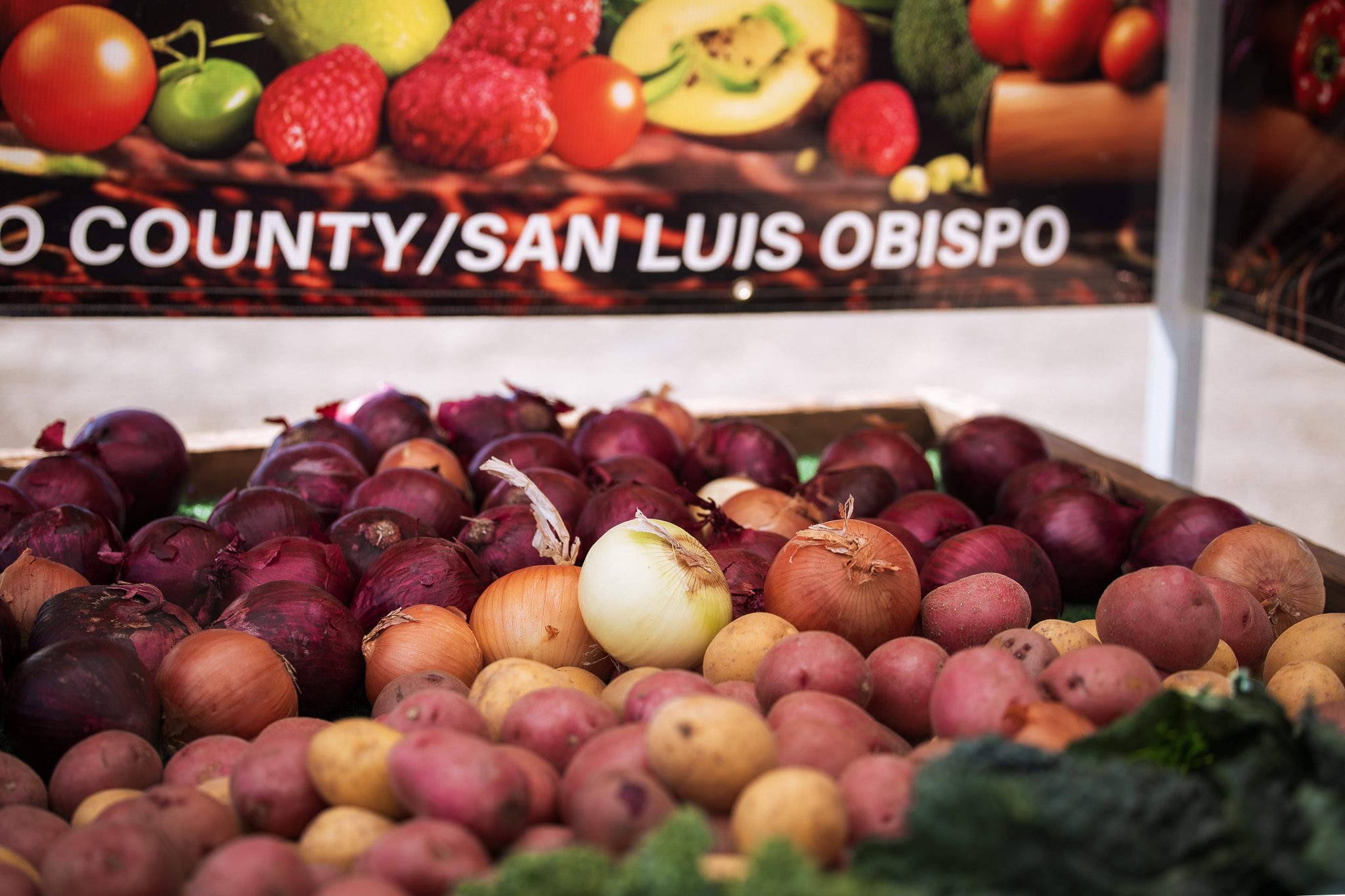Lakeside Farmers Market photo