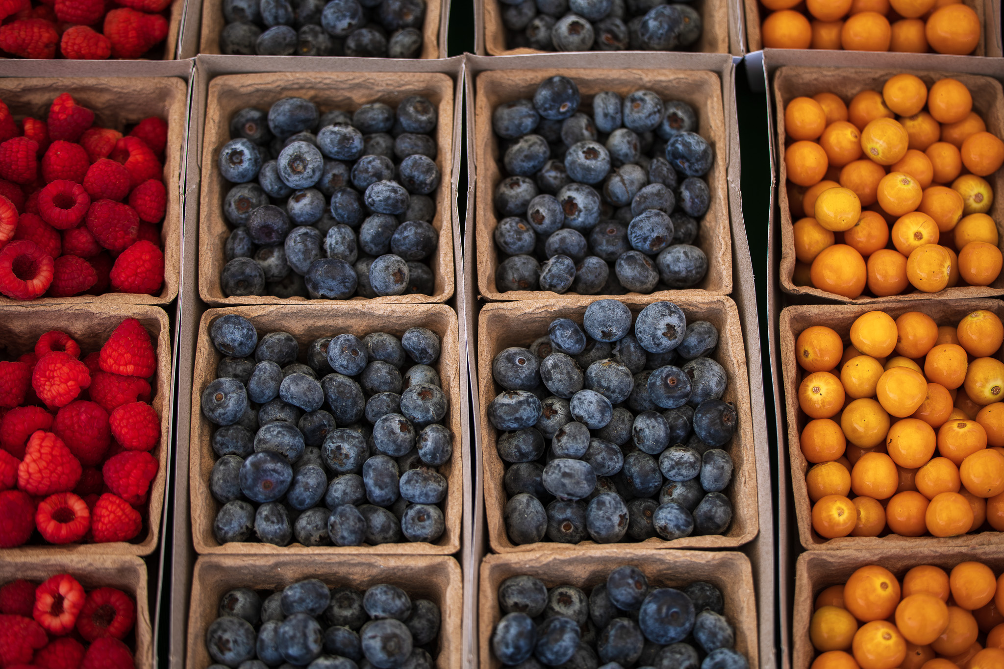 Lakeside Farmers Market photo