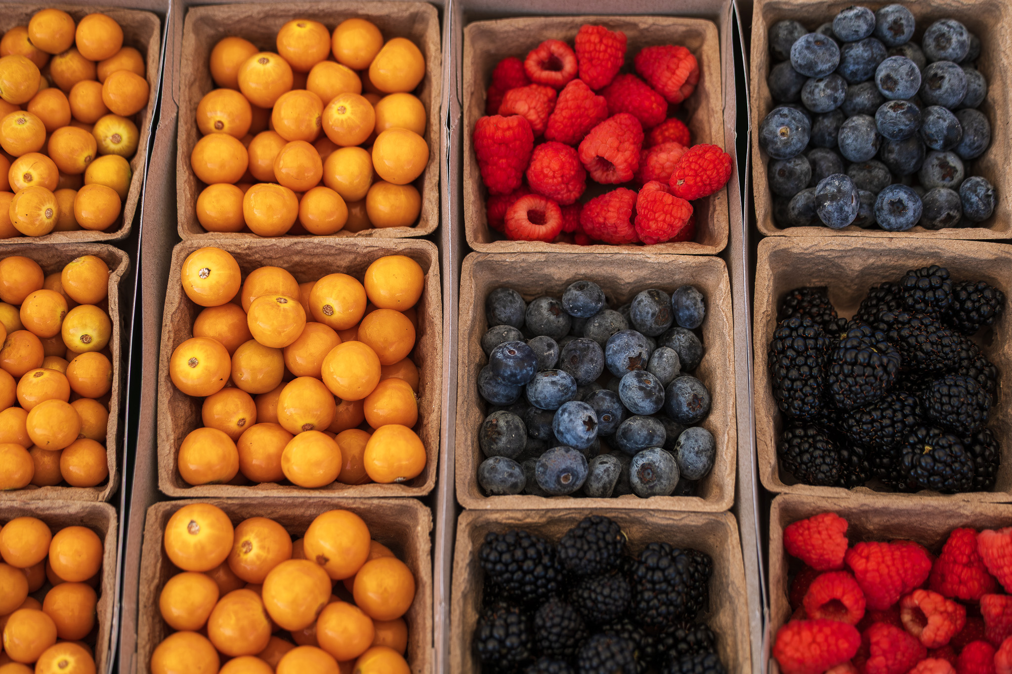 Lakeside Farmers Market photo